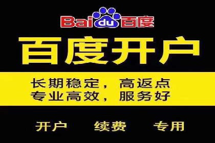 谷歌竞价广告在电商行业的运用案例